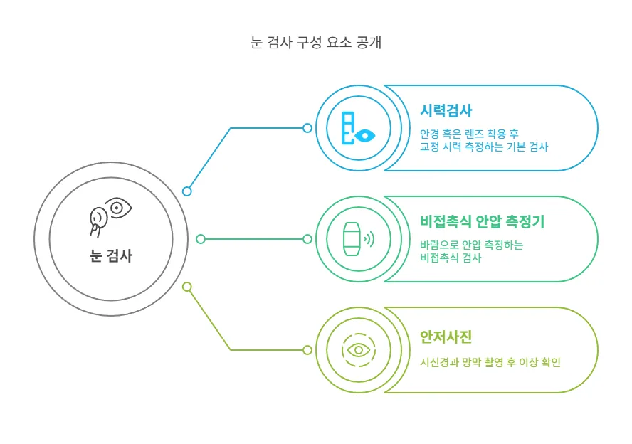 시력검사, 안압검사, 안저검사로 구성된 기본 안과 검사 항목을 정리한 도표